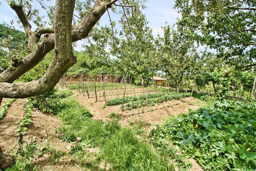 La Chiana * Vico Equense