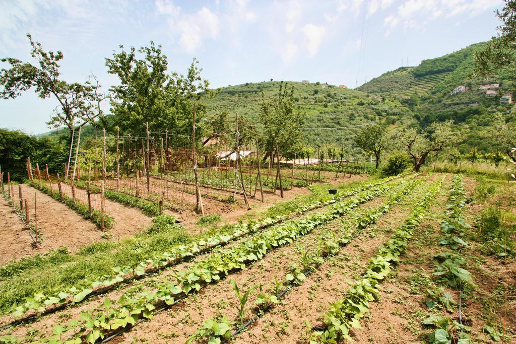 Bauernhof La Chiana