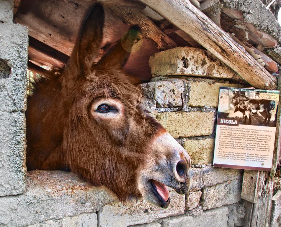 La Chiana Bauernhof *