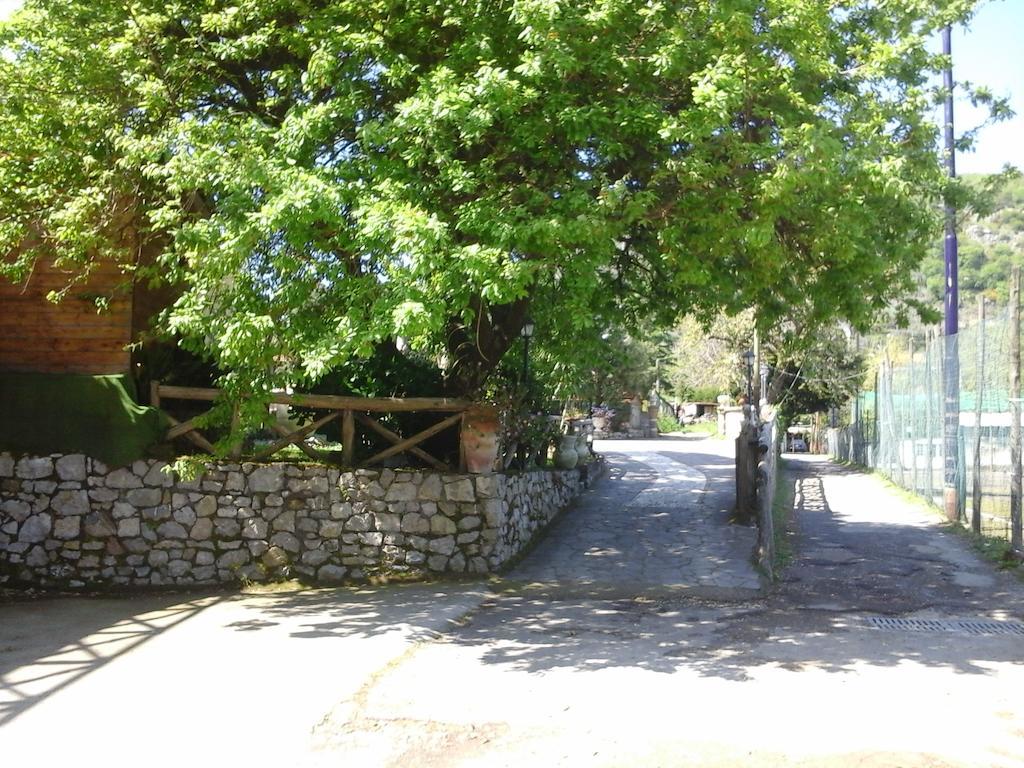 La Chiana Bauernhof Vico Equense