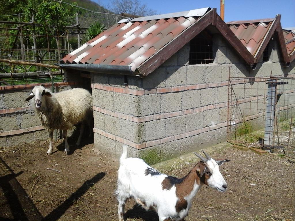 Bauernhof La Chiana Vico Equense