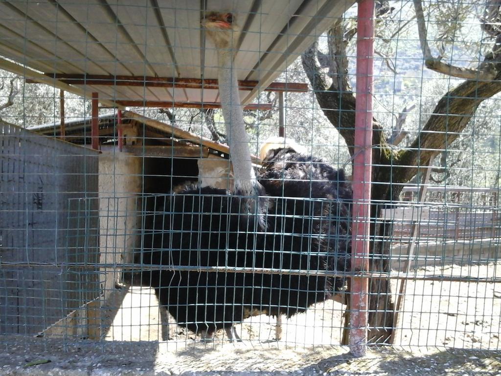 La Chiana Bauernhof